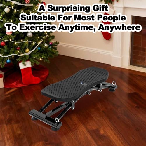 Sliding Ski Simulator with Resistance Bands, Indoor Skiing Fitness Equipment for Home Gym with Non-Slip Base, Full-Body Cardio Training Machine for Core, Leg & Arm Workout
