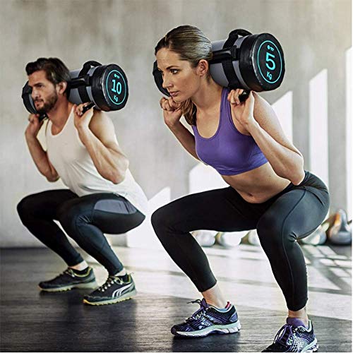 Beacon Pet Fitness Sandbag for Weight Training,Yoga, Workout and Exercise, sandbag Workout with Handles, Heavy Duty, sandbags for Fitness,Home, Gym