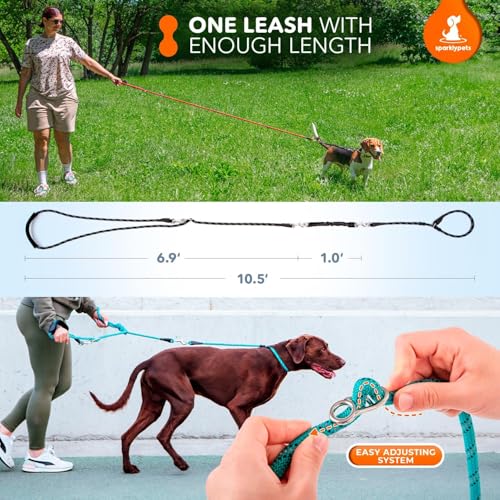 Bungee Rope Handsfree Leash for 1 Dog - Demovable Slip Lead - Waist or Hip Belt Leash for Dog Walking, Running, Carnicross - Medium & Large Breeds - color: Black