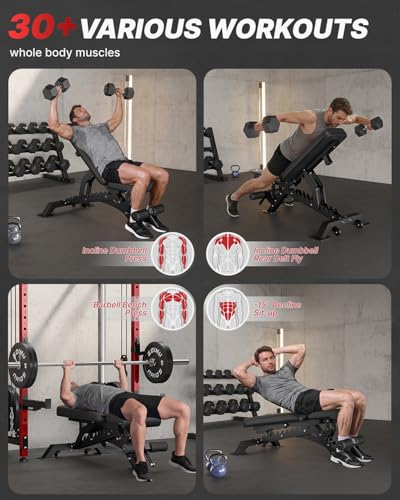 WB01 Adjustable Weight Bench, 1300LB Heavy Duty Workout Bench for Home Gym, Multi-Angle Gym Bench with Thickened Steel Frame, Incline Decline Flat Bench for Full Body Training & Bench Press