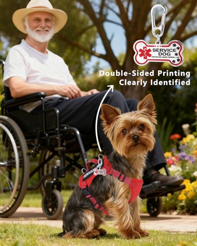 Service Dog Vest for Small Breed Dogs with ID Tag – Lightweight Puppy Harness and Leash Set with 6 PCS Patches, Ideal Service Animal Vest for Training, Complete Service Dog Gear, Red, M