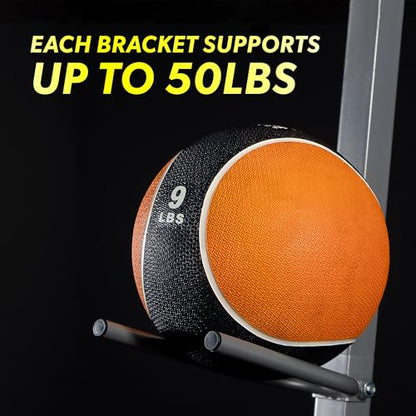 Valor Fitness Upright Exercise Ball Storage Rack - Holds 5 Medicine Balls, Slam Balls, Wall Balls or Basketballs, 250 lb Capacity, Space-Saving Stand for Home Gym Equipment Sports Equipment Organizer