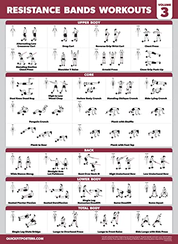 Palace Learning 4 Pack - Resistance Bands Workout Posters Volume 1, 2 & 3 + Stretching Exercise Chart (Laminated, 18" x 24")