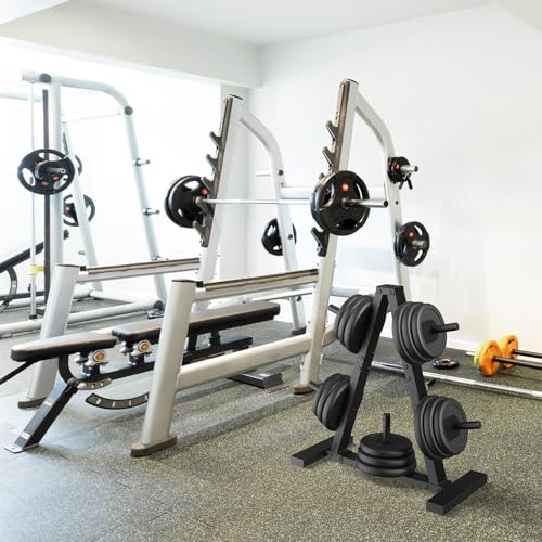 Weight Plate Rack, Weight Tree, Home Gym Storage Stand, Holds 300 lbs - color: 1-inch Black