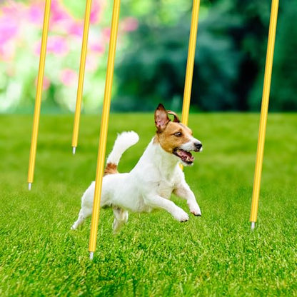Blulu 5/10/30pcs Training Agility Pole,5ft Adjustable - color: Yellow