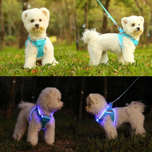 Light Up Dog Harness, Rechargeable LED Dog Harness for Small Medium Dogs - color: Blue, size: XS