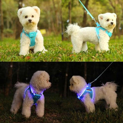 Light Up Dog Harness,Rechargeable LED Dog Harness for Small Medium Dogs - color: Blue, size: L