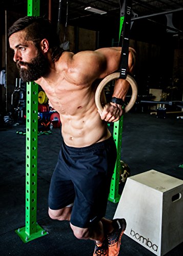20ft Adjustable Gymnastic Rings Strap (Pair) / Cam Buckle Adjustment/Upper Body Ring Training