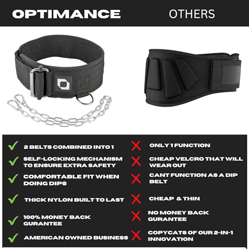2-in-1 Multi Purpose Weight Lifting Belt & Weighted Dip Belt - Functional Exercise, Strength Training, Powerlifting, Deadlift, Squat, Olympic Lifts - Weighted Dips, Chin-ups, Pull-ups 100% Nylon - color: Gray, size: Medium