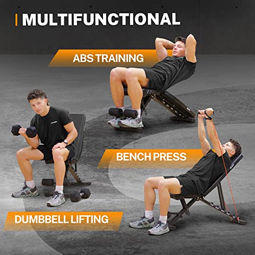 Adjustable Weight Bench, Full Body Workout Bench for Home Gym, Multi-Purpose Small Lightweight Bench with Workout Poster & Resistance Bands, Folding Weight Bench Super Easy Assembly