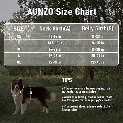 No-Pull Dog Harness for Small Dog Breeds, Escapeproof Easy Walking Reflective Adjustable Lightweight Dog Vest with Breathable Oxford Material, Easy on Easy Off with Neck Buckle, Green Ethnic XS