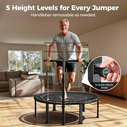 BCAN BT4 38/40/48" Soft Land Pro Adult Bungee Rebounder Trampoline, 500lb Capacity, Adjustable Tension Bungees, One-Piece Frame, Quiet Indoor Cardio w/Handle,Phone Holder & 2 Pairs Socks| FED Fitness