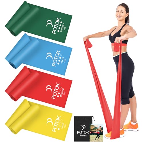 Resistance Exercise Band Kit,4 Pack Resistance Bands for Women or Men,Physiotherapy Recovery Fitness Band for Mobility Strength & Rehab Premium Quality