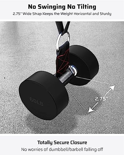 THEFITGUY Sled Pulling Belt & Dumbbell, Barbell Loading Straps | Ultimate Combination for Maximized versatility & strength