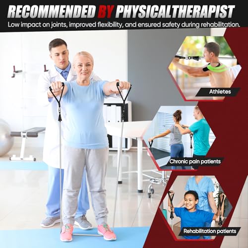 HPYGN Resistance Bands, Exercise Bands for Working Out, Workout Bands Men, Fitness Band with Handle, Door Anchor, Home Gym Equipment for Musle Training, Physical Therapy, Strength Training, Shape Body