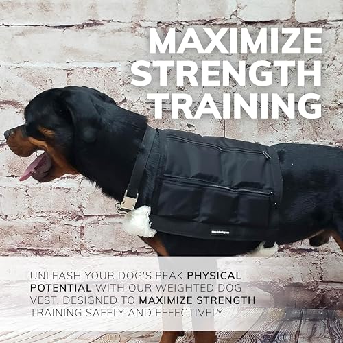 ActiveDogs Weighted Dog Vest with Weights - Dog Agility Training Equipment Jacket for Dog Exercise, Strength, Pulling & Endurance - Burn Calories & Build Muscle - Large 34-38 IN, 10 x 1LB