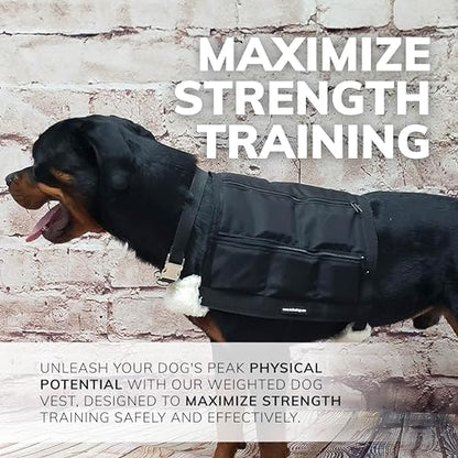 ActiveDogs Weighted Dog Vest with Weights - Dog Agility Training Equipment Jacket for Dog Exercise, Strength, Pulling & Endurance - Burn Calories & Build Muscle - Large 34-38 IN, 10 x 1LB
