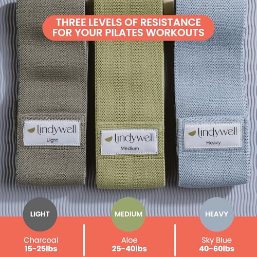Lindywell Ultimate Exercise Bands for Men & Women, Toned Glutes, Strength - style: Fabric Band Set