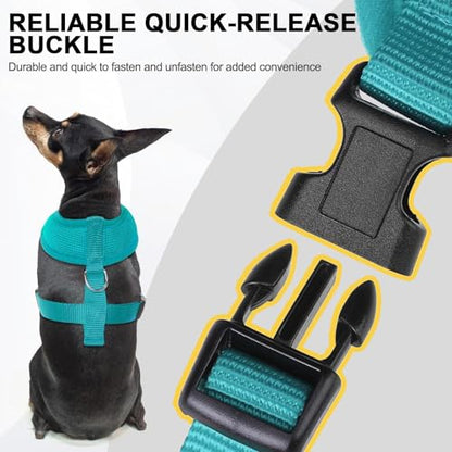 BINGPET Small Dog Harness, No Pull Step-in Puppy Pet Vest, Blue - color: Aqua, size: S (NECK: 12", CHEST: 14"-18")