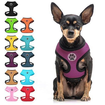 BINGPET Small Dog Harness, No Pull Step-in Puppy Pet Vest, Purple - color: Purple, size: S (NECK: 12", CHEST: 14"-18")