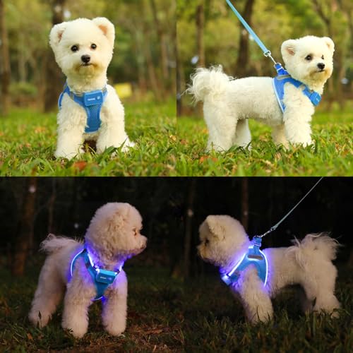Light Up Dog Harness, Rechargeable LED Dog Harness for Small Medium Dogs - color: Sky Blue, size: L