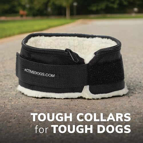 ActiveDogs Weighted Dog Collar for Muscle Building and Tactical Training - Dog Weighted Vest for Exercise - Includes 5x1lb Weights & Sheepskin Padding - Ideal for K9, Bully, Bull Terrier & More