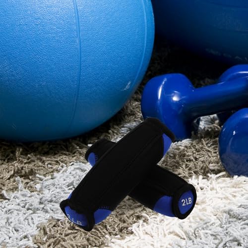 Ciieeo Soft Dumbbells Hand Weights 1 Pair 2lb Each Blue Portable Iron Sand Exercising Sandbag for Running Fitness Home Training