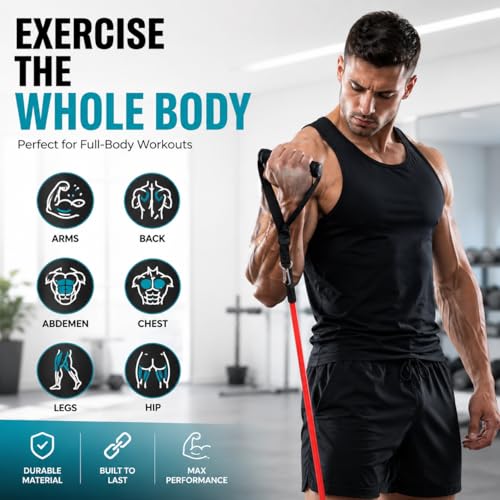 Resistance Bands Set, Anti-Snap Workout Bands with Handles, Stackable Resistance Bands for Men & Women, Home Gym Equipment with Door Anchor for Strength Training & Full Body Workout
