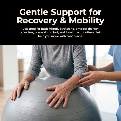 Sunny Health & Fitness Premium Anti-Burst Exercise & Stability Ball - size: 21.7" (55cm)