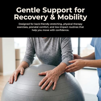 Sunny Health & Fitness Premium Anti-Burst Exercise & Stability Ball - size: 21.7" (55cm)