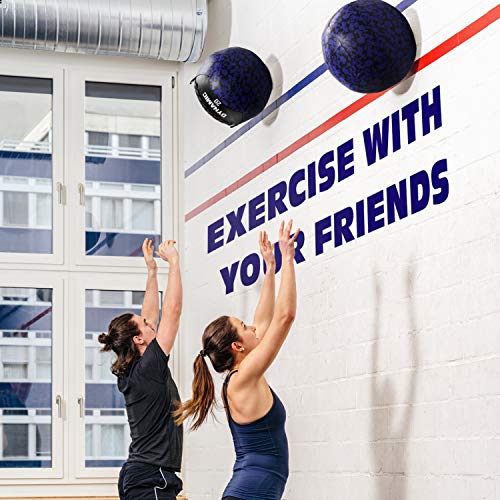 Yes4All Wall Ball, Soft Leather Weighted Iron Sand Ball for Dynamic Multifunctional Exercise, 6 LB - 30 LB - color: B. Soft Surface - Dynamic, style: F. 20LB