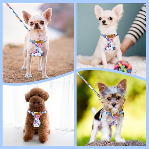 Lukovee No Pull Puppy Harness and Leash Set - Adjustable Lightweight Soft Suede Pet Harness Vest, with Snap Buckle & 51in Leash for Small Medium Dogs (Blue Flower, XXS) - color: ·Blue Flower, size: XX-Small ( 2.2-6lb )