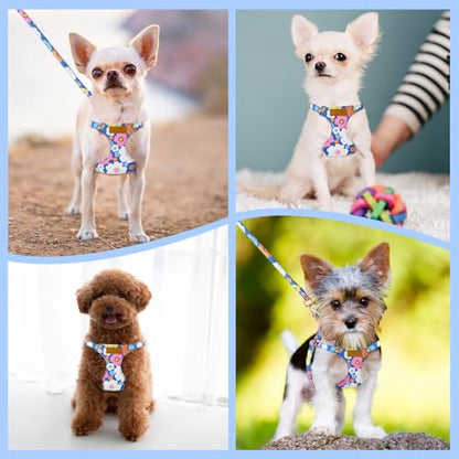 Lukovee No Pull Puppy Harness and Leash Set - Adjustable Lightweight Soft Suede Pet Harness Vest, with Snap Buckle & 51in Leash for Small Medium Dogs (Blue Flower, XXS) - color: ·Blue Flower, size: XX-Small ( 2.2-6lb )