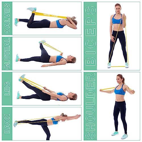 Resistance Bands, Pull Up Bands, Workout Bands for Exercise, Thick Heavy Resistance Band Set with Door Anchor, Elastic Bands for Body Stretching, Training at Home/Gym for Men & Women