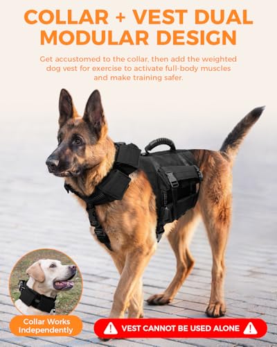 Weighted Dog Vest and Collar Set with 4 Removable 0.88 lb Weight Blocks, No Sand Filling, Training Gear for Medium and Large Dogs, Walking, Conditioning, Muscle Building, L - size: L