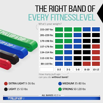 Pullup & DIP Fitness Bands, Resistance Bands with Bag, Door Anchor (with Sets) and Exercise Guide - Single & in Value Set, Pull-Up Band Fitness Band for Calisthenics