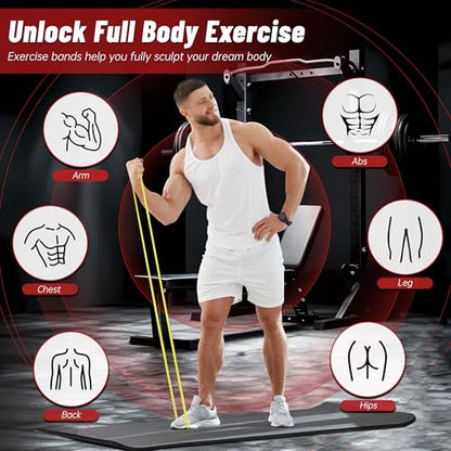 Resistance Bands for Working Out, 4-Level Pull Up Assistance Bands, Exercise Bands for Women & Men, Stretch Workout Bands for Full-Body Training, Fitness, Physical Therapy, Pull Up Bands at Home, Gym