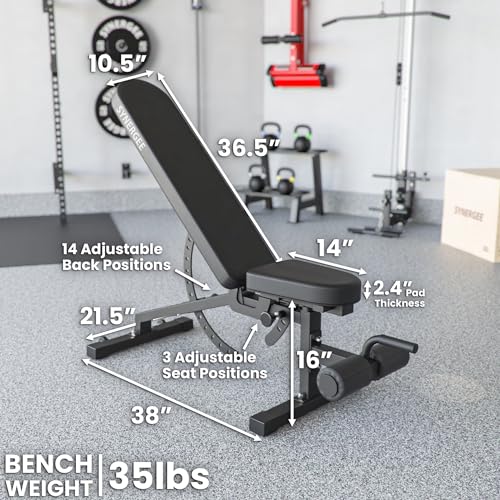 Synergee Adjustable Incline Decline Workout Bench. Weight Bench for Dumbbell & Barbell Press Exercises & Workouts. Great for Commercial, Garage and Home Gym.