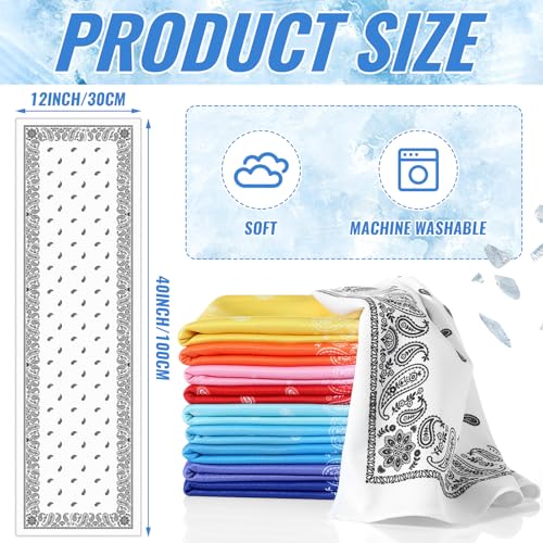 10 Pack Paisley Cooling Towels 40"x12" Microfiber Ice Towels Bulk for Neck & Face Summer Quick-Dry Sweat Rags for Gym Yoga Golf Running Sport Hot Weather Gifts