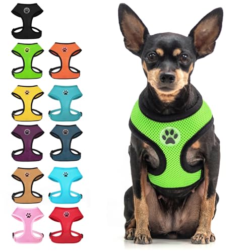 BINGPET Small Dog Harness, No Pull Step-in Puppy Pet Vest, Green - color: Green, size: XS (NECK: 10", CHEST: 10"-14")