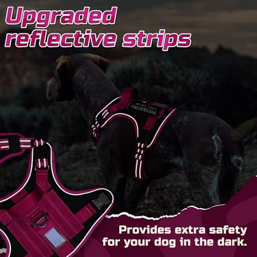 rabbitgoo Tactical Dog Harness for X-Large, No Pull Military Service Vest - color: Black & Rose Red, size: X-Large