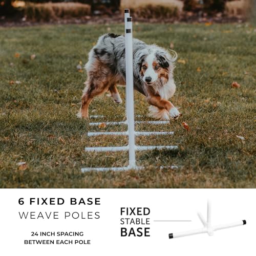 Better Sporting Dogs Complete Starter Agility Set for Dogs, 5 Piece