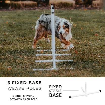 Better Sporting Dogs Complete Starter Agility Set for Dogs, 5 Piece