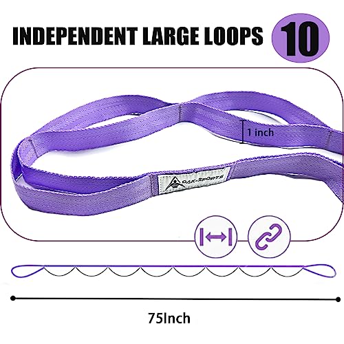 Stretching Strap Yoga Strap with Loops, Stretch Straps for Physical Therapy, Non-Elastic Exercise Strap for Pilates, Dance and Gymnastics with Workout Guide - color: Purple
