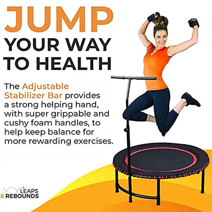 LEAPS & REBOUNDS 48" Adjustable Stability Bar Attachment with 48" Mini Fitness Trampoline and Home Gym Rebounder for Cardio Exercises, Gray