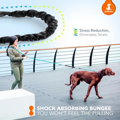 Bungee Rope Handsfree Leash for 1 Dog - Demovable Slip Lead - Waist or Hip Belt Leash for Dog Walking, Running, Carnicross - Medium & Large Breeds - color: Green Range