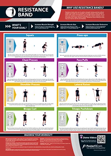 Resistance Band | Full Body Workout | Improves Strength Training | Laminated Home & Gym Poster | FREE Online Video Training Support | Size - 33” x 23.5” | Improves Personal Fitness - color: 4. Resistance Band