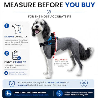 ShawnCo Essential Pro Dog Harness, No-Pull Pet Vest with 3 Leash Clips and Removable, Reflective Side Patches, Adjustable and Padded Harness for Small, Medium and Large Dogs (Orchid, M)