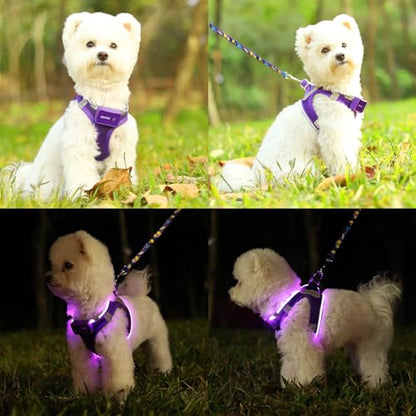 Light Up Dog Harness,Rechargeable LED Dog Harness for Small Medium Dogs - color: Purple, size: S
