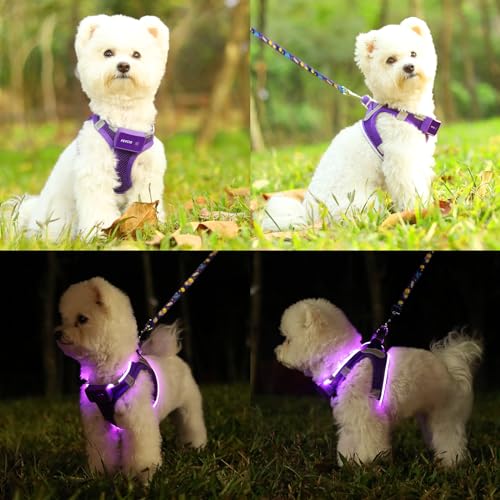 Light Up Dog Harness, Rechargeable LED Dog Harness for Small Medium Dogs - color: Purple, size: M
